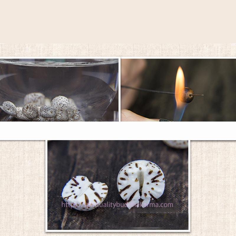 Spirituality 108 Mala Beads Bodhi Seed Yak Bone Avalokitesvara Lucky Pixiu Guan Gong Buddha Demon Peace Tassel Bracelet