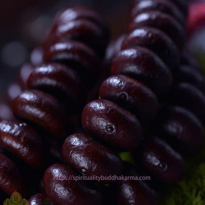 Spirituality Buddha Karma Natural Tibet 108 Mala Beads Purple Bodhi Seed Wealth Bracelet