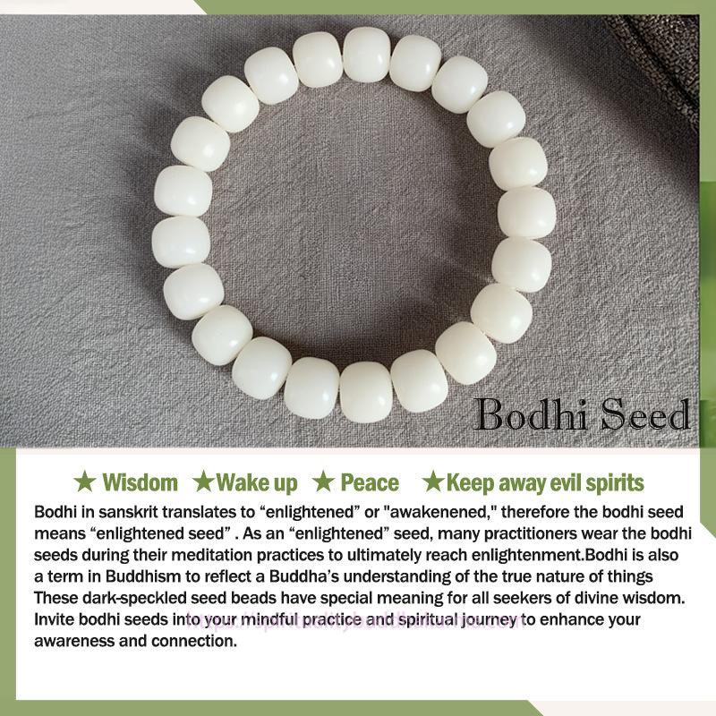 Cyan Bodhi Seed Mala 108 Beads Success Bracelet Necklace